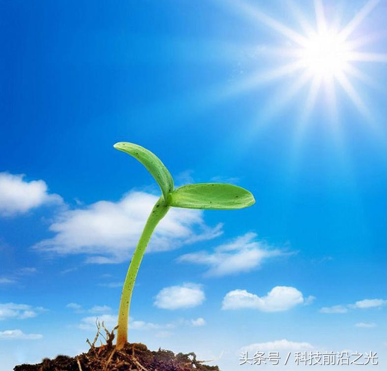炒白银应该才能赚到钱呢？-炒白银一周赚多少