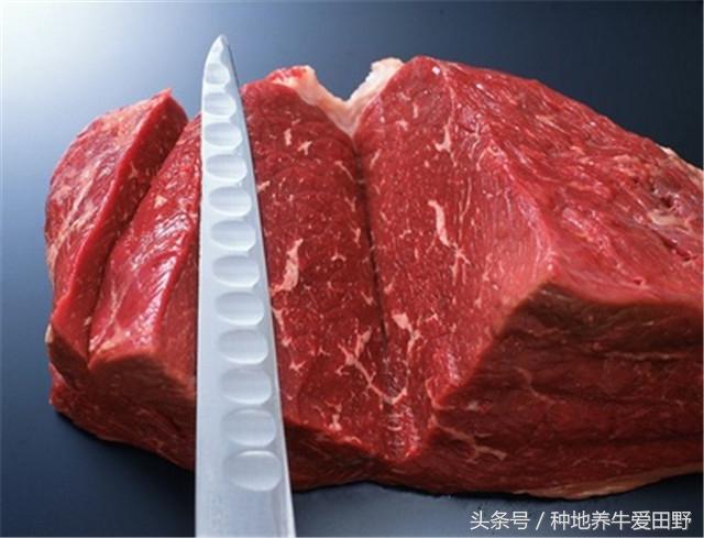 【推荐】3·15特别报道：注水牛肉的方法你知道嘛？（一）-猪肉打水赚多少