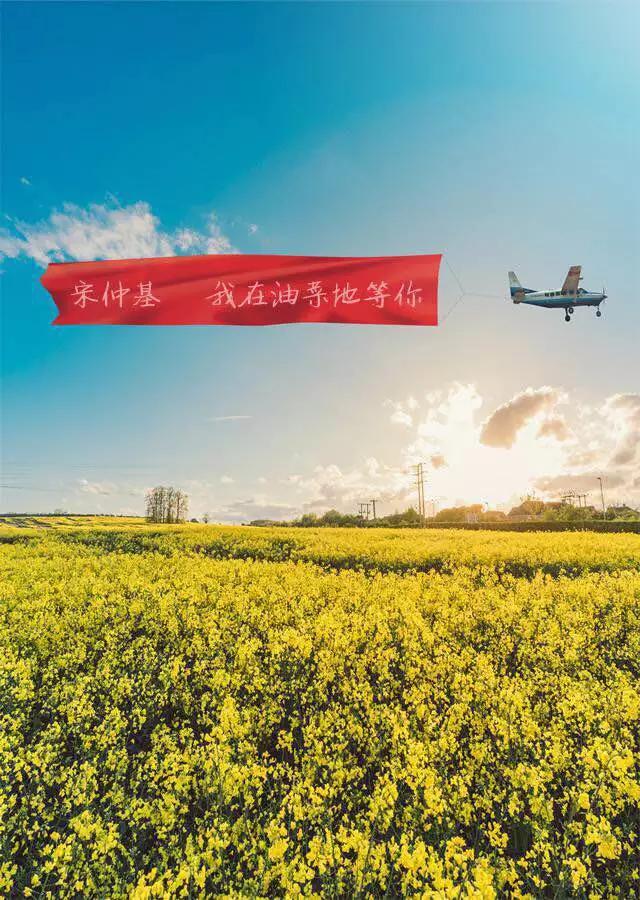 好黄！重庆最全赏油菜花攻略-重庆渝遂食品有限公司