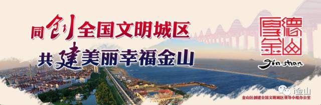 「围观」建设中的金山有多美：这些“巨无霸”项目造的怎样了？-天宸药业有限公司