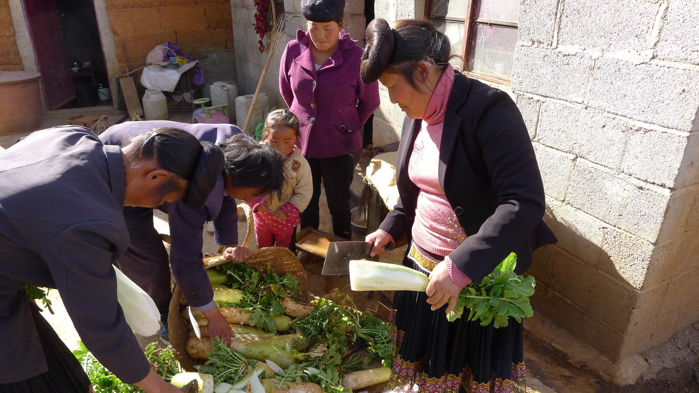 「柔性扶贫连载」3.1社区发展基金-信用社基金