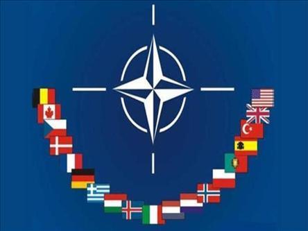 为什么欧洲国家都自愿加入北约？