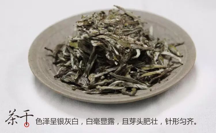 如何评价白毫银针茶呢？