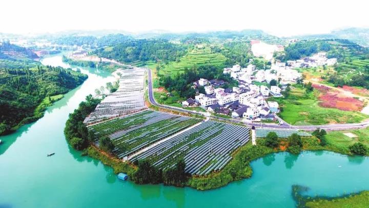 大龙特别报道-贵州红星发展大龙锰业有限责任公司