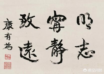历史上的康有为，除了公车上书，还做过其他什么事情？