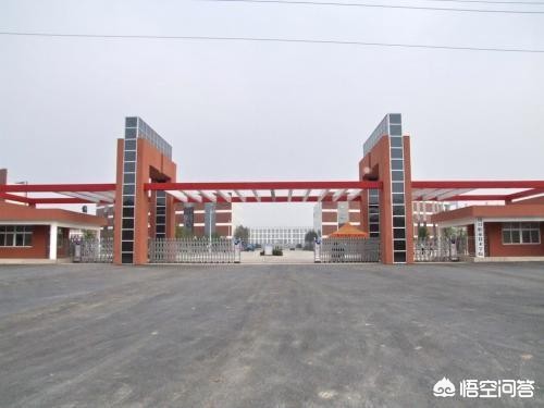将河南省的河理工、河科技、河师大、河农大等学校合并成一个超级高校，可行吗？