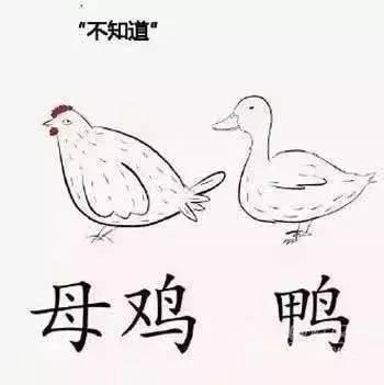 为什么外省人听不懂粤语，而客家人潮汕人却听得懂？