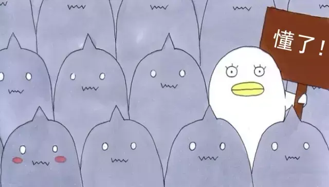 「懂了么」常见基金有哪几种？-常见的基金