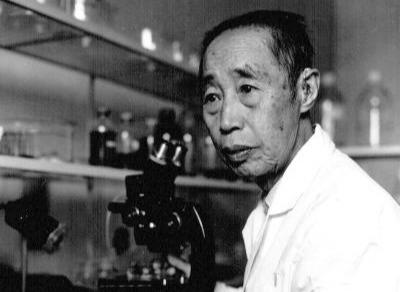 梅童鱼价今春上涨515梅童鱼怎么做最好吃让中国克隆39年前就已成世界
