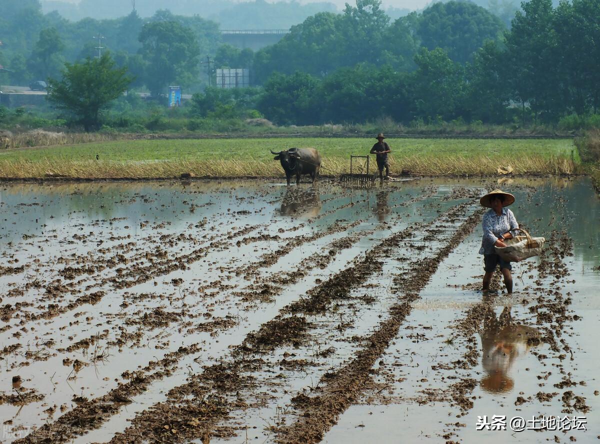 【推荐】2021年了土地流转多少钱一亩了呢原价1400现价1800涨幅多少