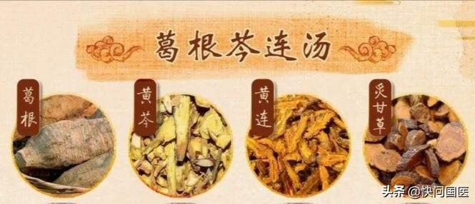 中消→肌肉瘦减 多食频饥 葛根芩连汤 3.