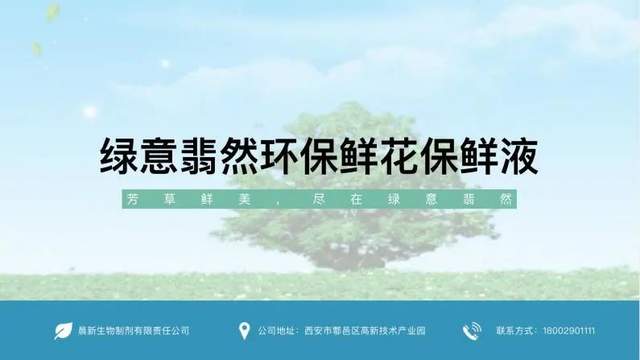 蔡丹圣绿意翡然环保鲜花保鲜液01"海得邦"杯西安理工大学经济与管理