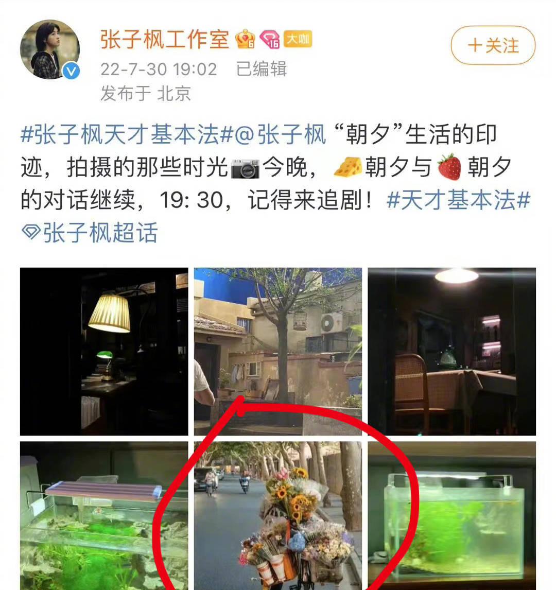 张子枫工作室回应盗图风波