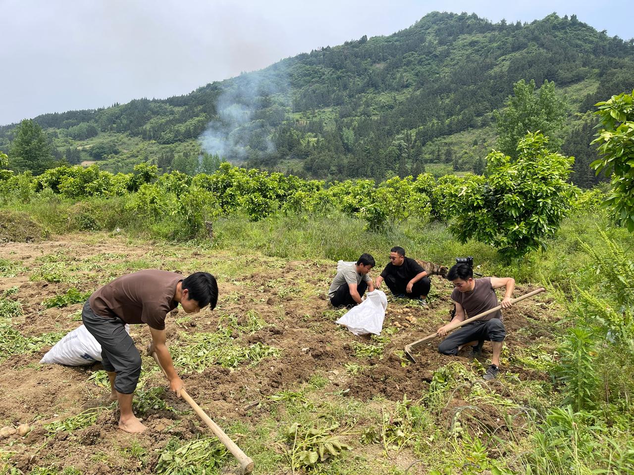 打工小伙组团回乡拍视频圈粉千万