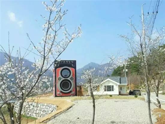 离我最近的照相馆，离我们最近的照相馆在哪里（沪上可拍身份证照片的摄影门店增至190家）