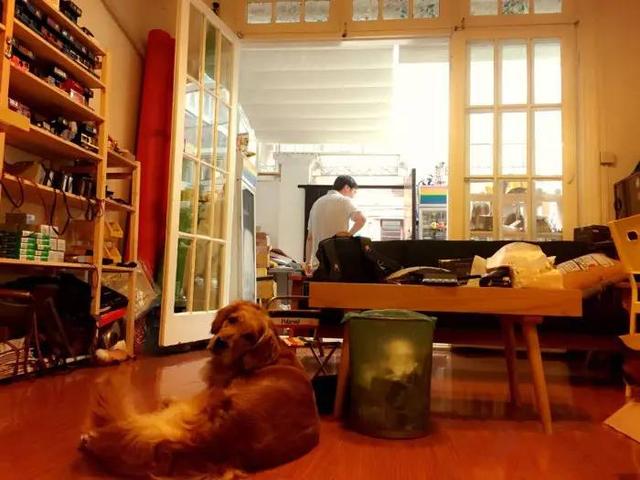 离我最近的照相馆，离我们最近的照相馆在哪里（沪上可拍身份证照片的摄影门店增至190家）