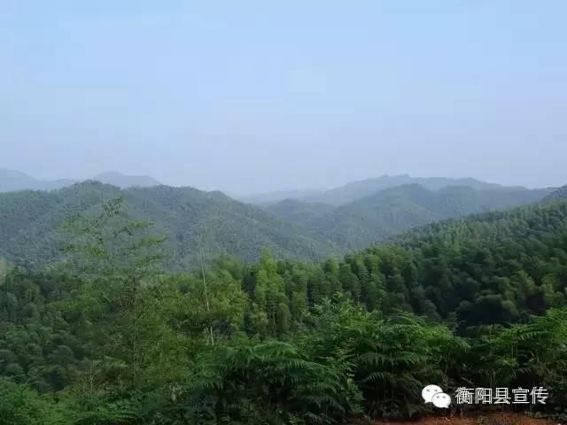 秋天登山季除了衡山，南岳衡山旅游风景