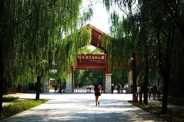 北京最美的野鸭湖，游北京野鸭湖国家湿地公园