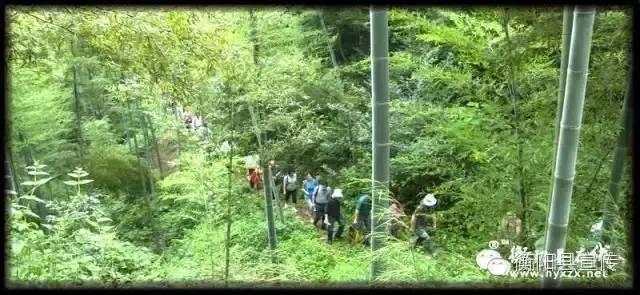 秋天登山季除了衡山，南岳衡山旅游风景