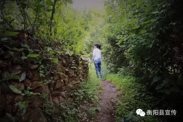 秋天登山季除了衡山，南岳衡山旅游风景