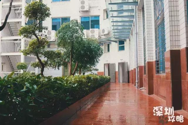 深圳广播电视大学，深圳最著名大学（广东教育：深圳有多少大学高校）