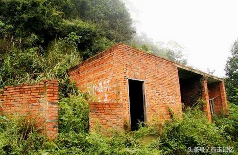 四川发现深山大佛，当地回应：近代雕塑作品