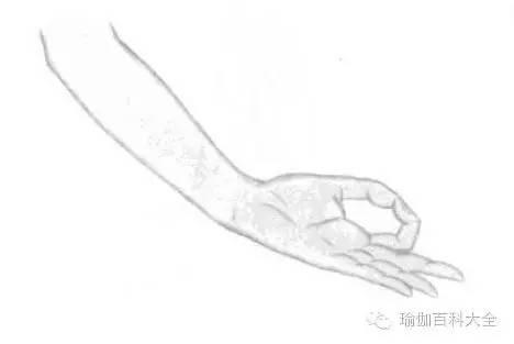 12种常见的手印，讲解各种手印及其它们的意义