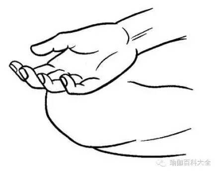 12种常见的手印，讲解各种手印及其它们的意义