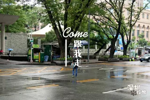 深圳广播电视大学，深圳最著名大学（广东教育：深圳有多少大学高校）