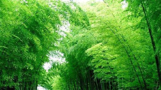 湖南益阳旅游攻略景点单人，湖南益阳的免费和收费景点价格大全