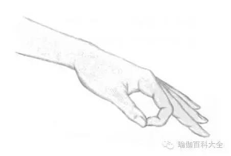 12种常见的手印，讲解各种手印及其它们的意义