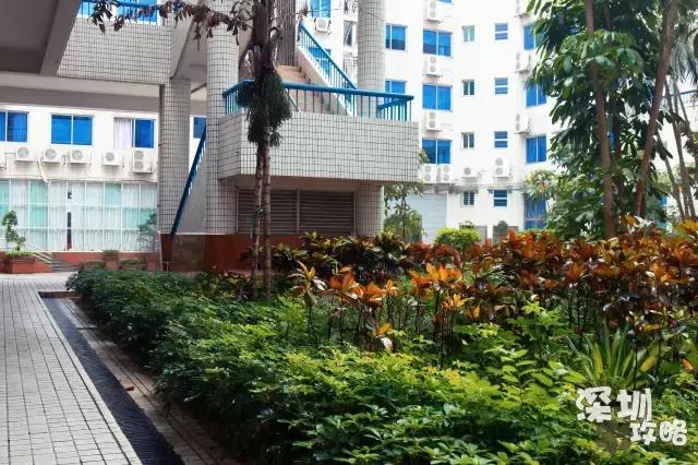 深圳广播电视大学，深圳最著名大学（广东教育：深圳有多少大学高校）