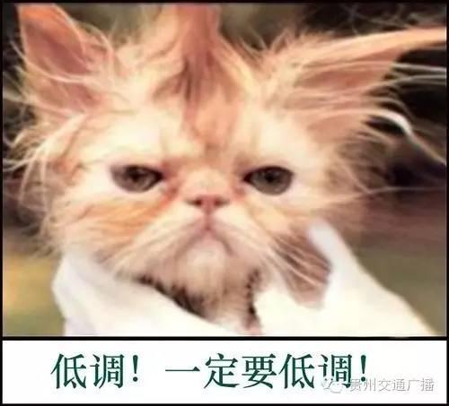 十句关于天才的名言，38条天才与平庸的名言警句