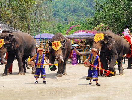 西双版纳勐海古城，品味最具古色古香的网红打卡书院