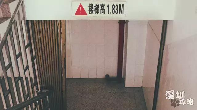 深圳广播电视大学，深圳最著名大学（广东教育：深圳有多少大学高校）