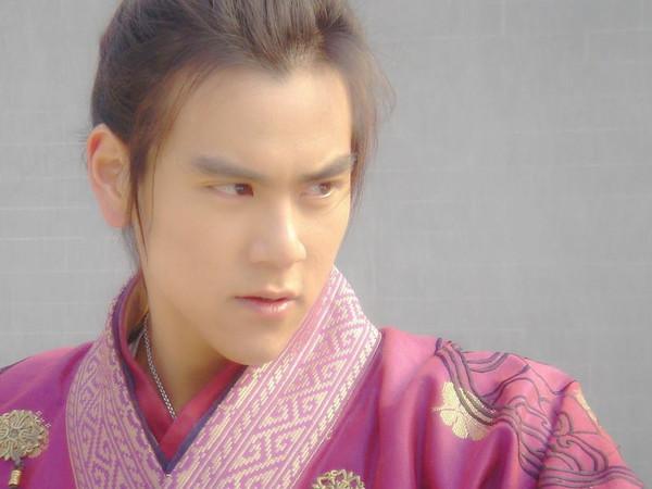 胡歌彭于晏少年杨家将，胡歌主演史上最惨一部电视剧