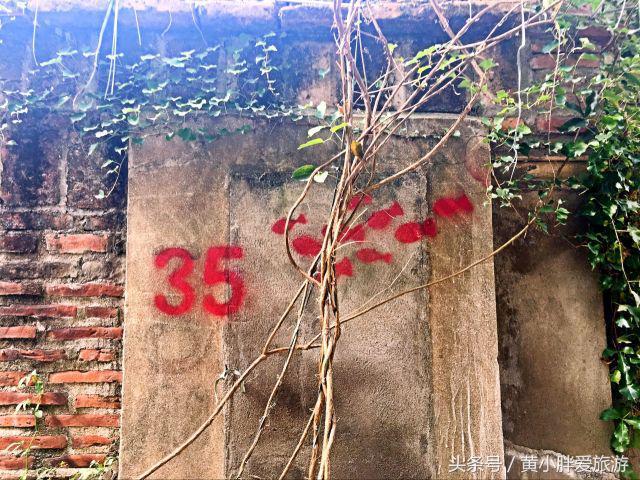 鼓浪屿一日游最佳攻略，鼓浪屿一日游好去处