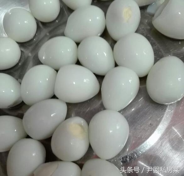甲鱼的家常做法，甲鱼的家常做法 炖甲鱼（甲鱼这样做比烧汤更美味）