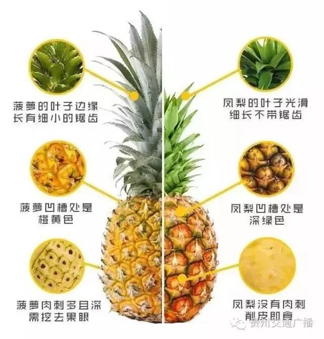 十句关于天才的名言，38条天才与平庸的名言警句