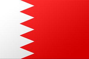 阿拉伯国家国旗图标，阿拉伯国家的国旗是怎么来的