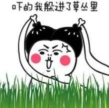 xoxo呛口小辣椒，猴子喂魔鬼辣椒（对比图觉得不是同一个人吧）