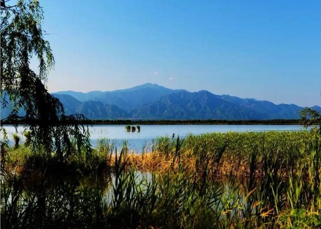 北京最美的野鸭湖，游北京野鸭湖国家湿地公园