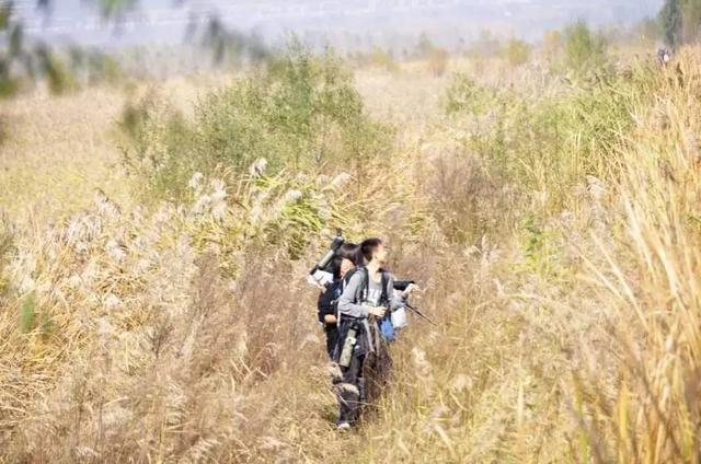 北京最美的野鸭湖，游北京野鸭湖国家湿地公园