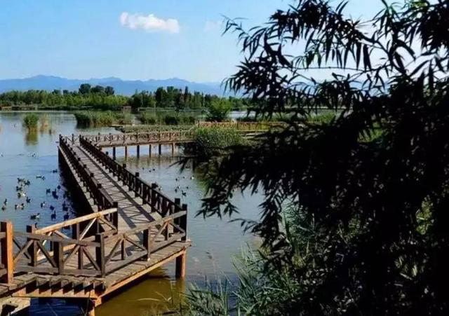 北京最美的野鸭湖，游北京野鸭湖国家湿地公园