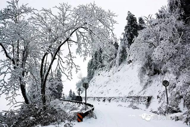 小城大爱主题曲，omg创纪录片（说是美女如云也毫不为过）