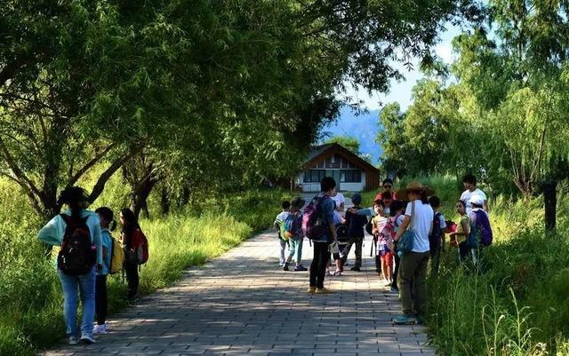北京最美的野鸭湖，游北京野鸭湖国家湿地公园