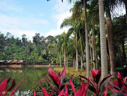 西双版纳勐海古城，品味最具古色古香的网红打卡书院