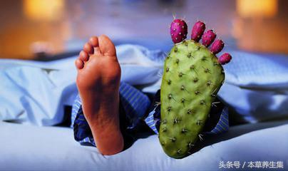 混合型肥胖减肥代茶饮(混合型肥胖减肥方法)