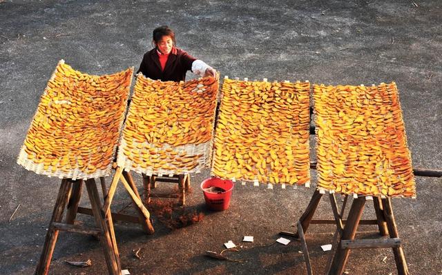 红苕尖的川味做法简单好吃，蒜蓉红苕尖怎么做好吃