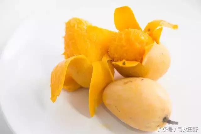 芒果什么品种好吃又甜，芒果测评大全6个产地